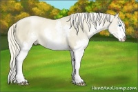 Horse Color:Chocolate Palomino Pearl Splash
