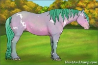 Horse Color:Watercolor White Spotted Sable Champagne 