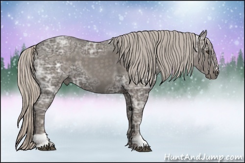 Horse Color:Silver Black Ice Sabino 