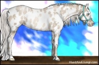 Horse Color:White Spotted Chocolate Palomino Pearl Varnish 