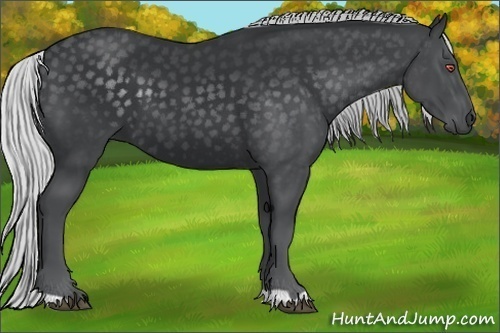 Horse Color:Silver Black Chinchilla
