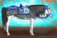 Horse Color:Blue Roan Splash 