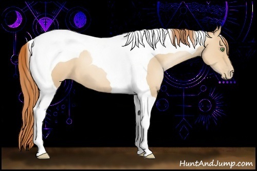 Horse Color:Classic Champagne Pearl Tobiano 