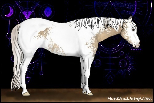 Horse Color:White Spotted Silver Smoky Grullo Tobiano Rabicano