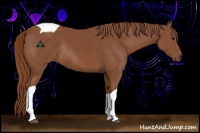 Horse Color:Chestnut Tobiano Rabicano 