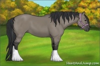 Horse Color:Grullo Tobiano Rabicano