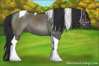 Horse Color:Grullo Tobiano Rabicano