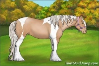 Horse Color:Silver Bay Pearl Tobiano