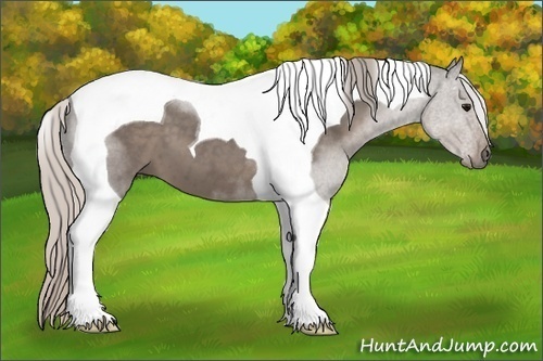 Horse Color:Silver Black Tobiano