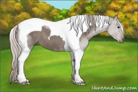 Horse Color:Silver Black Tobiano