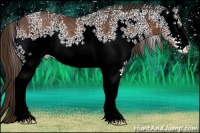 Horse Color:White Spotted Liver Chestnut Sabino Rabicano