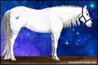 Horse Color:White Spotted Bay Appaloosa Rabicano