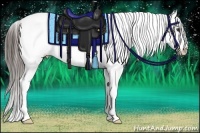 Horse Color:Liver Red Ice Roan Appaloosa Rabicano