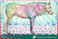 Horse Color:Chocolate Silver Brown Roan Dun Splash Appaloosa Rabicano 