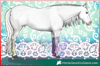 Horse Color:Chocolate Silver Brown Roan Dun Splash Appaloosa Rabicano