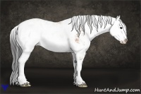 Horse Color:Bay Sabino 