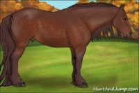 Horse Color:Chocolate Brown 