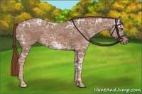 Horse Color:Chestnut Ice 