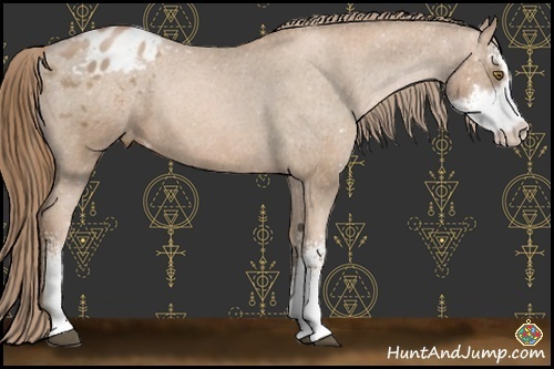 Horse Color:Liver Chestnut Pearl Sabino Blanket 