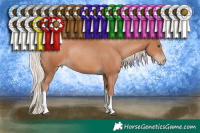 Horse Color:Silver Black Pearl Tobiano Rabicano 