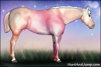 Horse Color:Liver Red Dun Sabino Near Fewspot