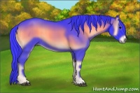 Horse Color:Watercolor Blue Onyx 