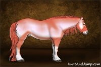 Horse Color:Watercolor Red Onyx