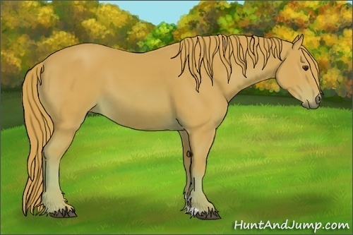Horse Color:Watercolor Chestnut 