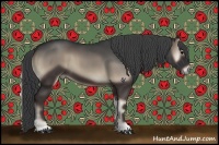 Horse Color:Blue Onyx