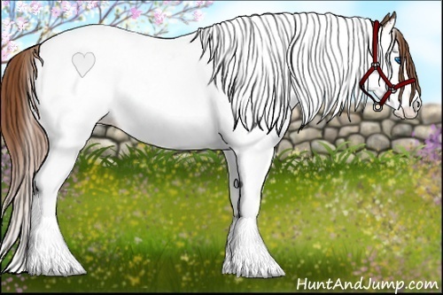 Horse Color:Chestnut Splash Tobiano