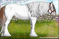 Horse Color:Chestnut Splash Tobiano 