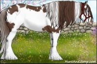 Horse Color:White Spotted Liver Chestnut Splash Frame