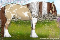 Horse Color:White Spotted Red Dun 