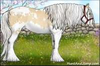 Horse Color:White Spotted Silver Classic Cream Champagne Splash Rabicano