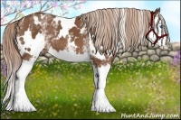 Horse Color:White Spotted Chestnut Splash 