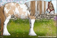 Horse Color:White Spotted Chestnut Pearl Sabino Rabicano 