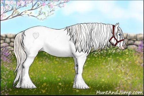 Horse Color:Gold Cream Champagne Sabino Splash Appaloosa 