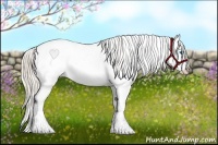 Horse Color:Gold Cream Champagne Sabino Splash Appaloosa