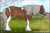 Horse Color:Silver Bay Tobiano Rabicano