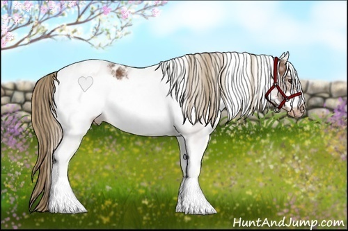 Horse Color:White Spotted Chestnut Frame Blanket