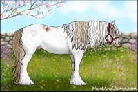 Horse Color:White Spotted Chestnut Frame Blanket 