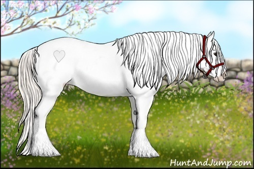 Horse Color:Silver Brown Dun Varnish 