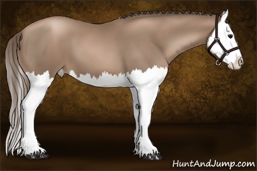 Horse Color:Black Pearl Splash 