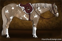 Horse Color:White Spotted Chocolate Palomino
