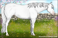 Horse Color:Gray Silver Classic Champagne Roan Splash Tobiano 