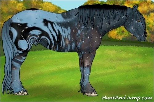 Horse Color:ERROR: UNKNOWN ANOMALY