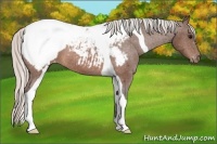 Horse Color:Silver Brown Tobiano Snowcap 