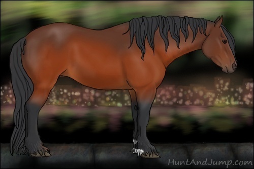 Horse Color:Brown 