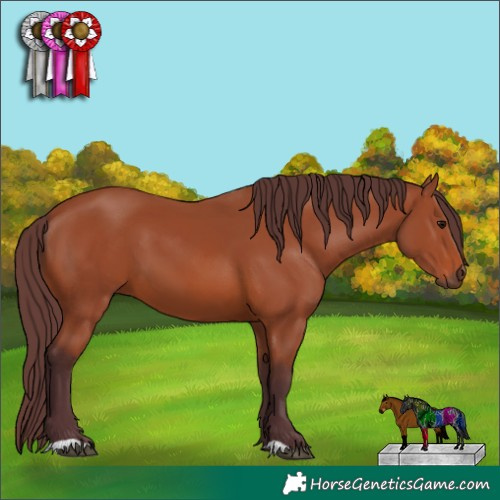 Horse Color:Chocolate Brown 
