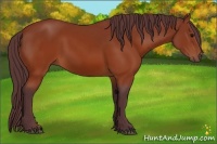Horse Color:Chocolate Brown 
